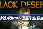 黑色沙漠手游职业推荐（职业选择技巧）