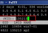 使用VMware进入命令行界面的方法（简便快捷的虚拟机操作）