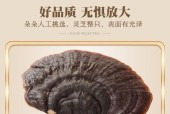 赤芝魔兽的打法是什么？如何有效对抗赤芝魔兽？