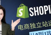 独立站运营（自由创新）
