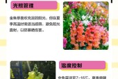 金鱼草怎么养才能开花（打造繁花盛景的技巧与方法）