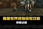 魔兽战斗宠物抓捕技巧是什么？