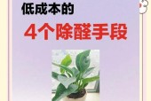 5个小妙招轻松解决甲醛超标（甲醛）