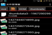 内存卡文件删除不了解决方法是什么？内存卡文件删除问题解决步骤有哪些？