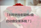老桃毛u盘重装系统教程遇到问题怎么办？常见问题及解决方法是什么？