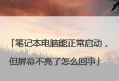 笔记本电脑屏幕亮但不显示是什么问题？解决方法有哪些？