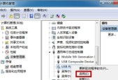 USB接口被禁用怎么办？恢复技巧有哪些？