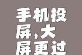 手机有线投屏支持情况怎么看？