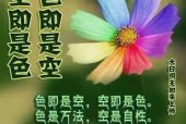 dnf中无知根源的含义是什么？