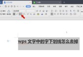 如何快速删除Word文档中的双横线？