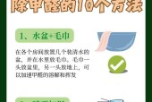快速散去家中甲醛（15个小贴士让你轻松应对）