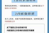 内脏脂肪含量降低的方法（从生活习惯、饮食控制到运动锻炼）