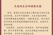 快速让头发长出的秘诀（实用的头发生长技巧和护理方法）