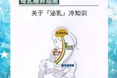 探究母乳形成过程（深入了解母乳形成的奥秘）