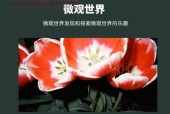 索尼手机如何实现胶片拍照效果？有什么技巧？