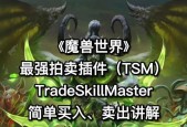 魔兽拍卖行使用流程及注意事项？