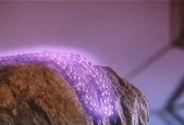 魔兽世界透明紫色蜘蛛战斗策略是什么？