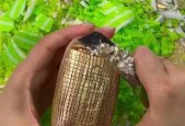 丧尸智能手环使用方法是什么？有哪些功能？