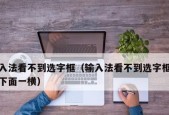输入法不出现选字栏怎么办？输入法选字栏问题解决方法有哪些？