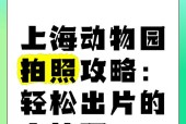 动物园拍照技巧有哪些？如何捕捉动物精彩瞬间？
