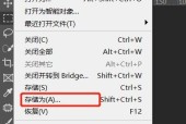 探索JPG文件格式的特点与应用（JPG文件格式的优势及其在数字图像处理中的广泛运用）