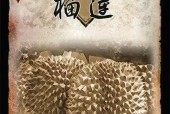 济宁哪里可以买到三国杀武器？价格大概是多少？