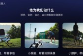 WRC 2025｜Vbot维他动力发布国内首个智能伴随机器人