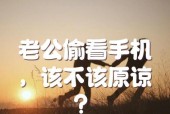 偷看对方手机的原因是什么？