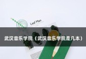 音乐网站制作模板怎么做？音乐网站制作模板方法是什么？