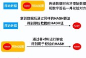 零基础学电脑的自学软件推荐（掌握电脑技能从零开始）