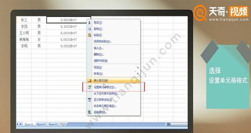 探索单元格设置文本格式的奥秘（打造精美文档）  第1张
