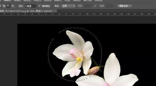 用ps把物体单独抠出来的技巧是什么？如何快速掌握？  第3张