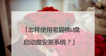 老桃毛u盘重装系统教程遇到问题怎么办？常见问题及解决方法是什么？  第1张
