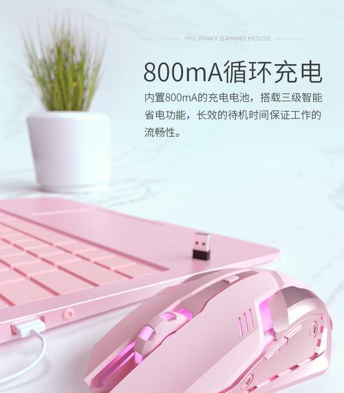 戴尔笔记本鼠标盖板怎么装上去？安装步骤是什么？  第2张
