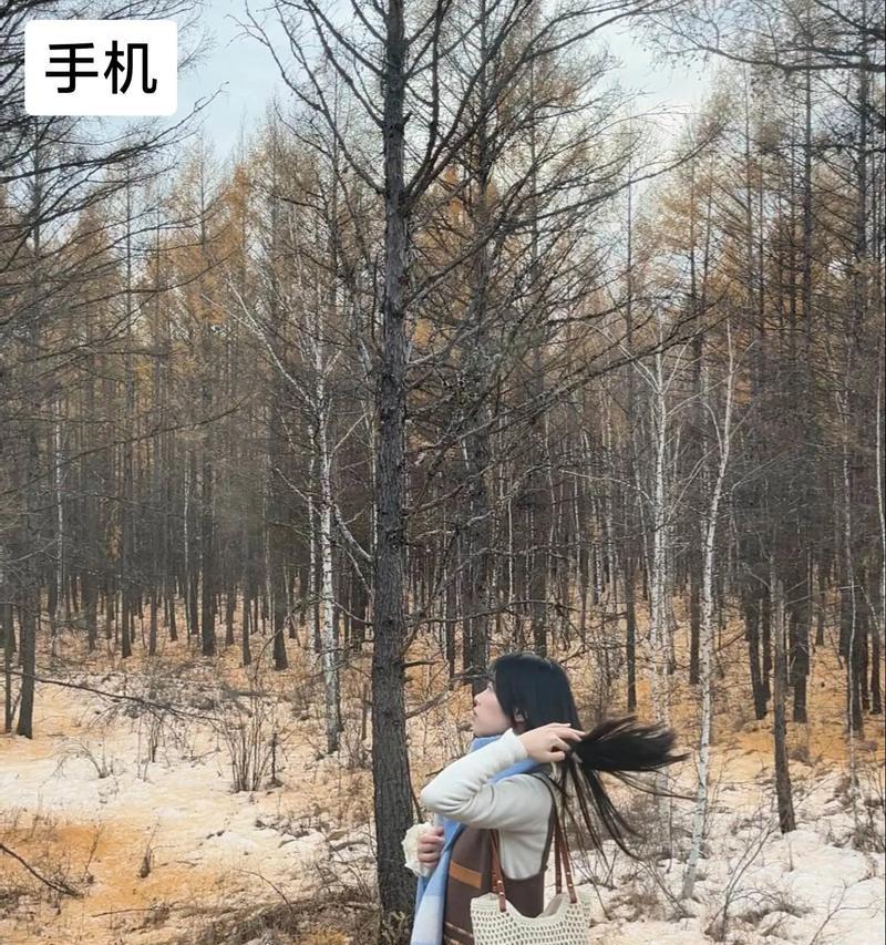手机拍照达到单反效果的方法？  第2张