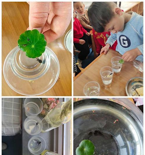 手机拍照能否捕捉到蝌蚪？设置方法是什么？  第1张