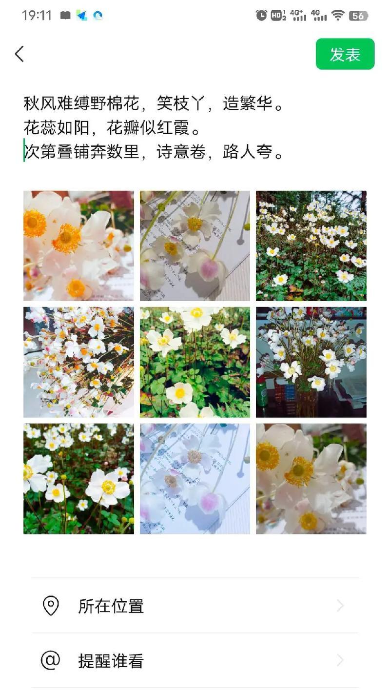 手机拍照出现异味是什么原因？  第2张