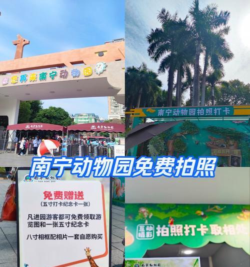 如何使用小米手机拍摄动物园照片？有哪些拍照技巧推荐？  第3张