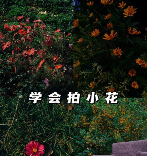 手机拍照时如何预览屏幕内容？有哪些技巧？  第3张
