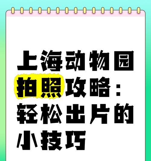 动物园拍照技巧有哪些？如何捕捉动物精彩瞬间？  第1张