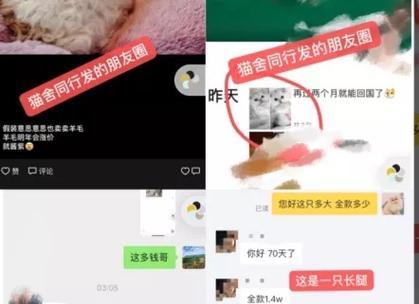 热水器防污器使用方法的视频教程在哪里？  第3张