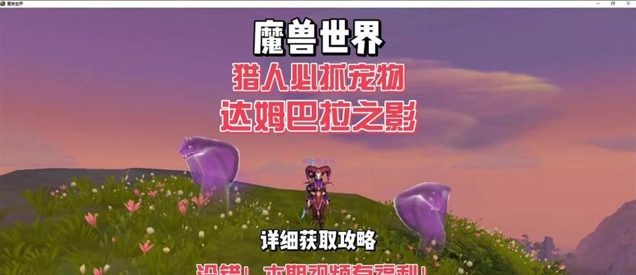魔兽猎人宠物栏开启方法是什么？开启后如何管理宠物？  第1张