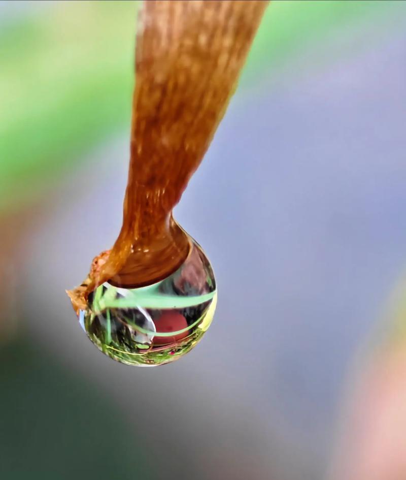微距摄像头在手机摄影中的作用是什么？  第3张