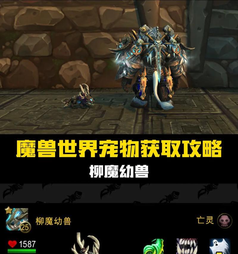 魔兽战斗宠物抓捕技巧是什么？  第1张