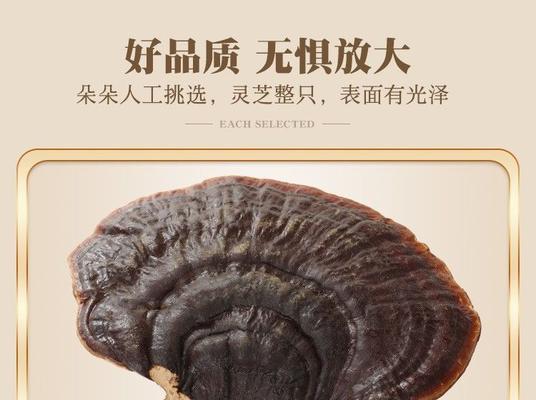 赤芝魔兽的打法是什么？如何有效对抗赤芝魔兽？  第1张