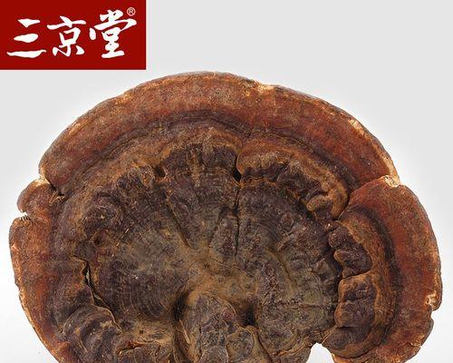 赤芝魔兽的打法是什么？如何有效对抗赤芝魔兽？  第3张