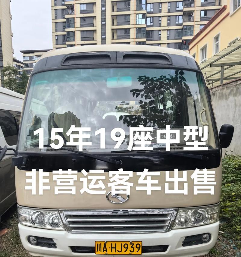 金龙牌颜色有何特殊含义？  第3张