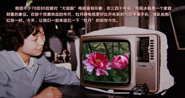 完美世界切片号的含义及作用是什么？  第1张