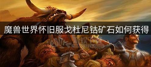 魔兽世界首领战斗宠物获取方法是什么？  第2张