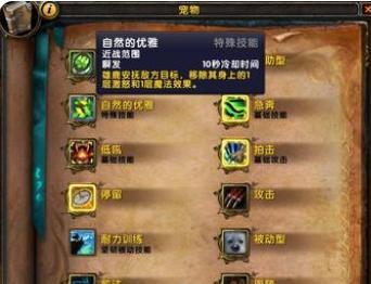 魔兽世界首领战斗宠物获取方法是什么？  第3张